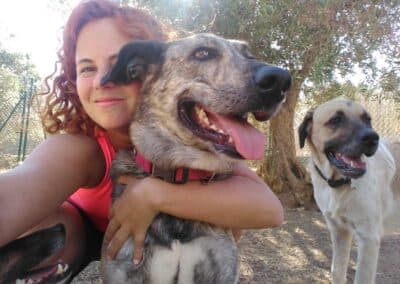 Perros disfrutando en Can Olivera (6)