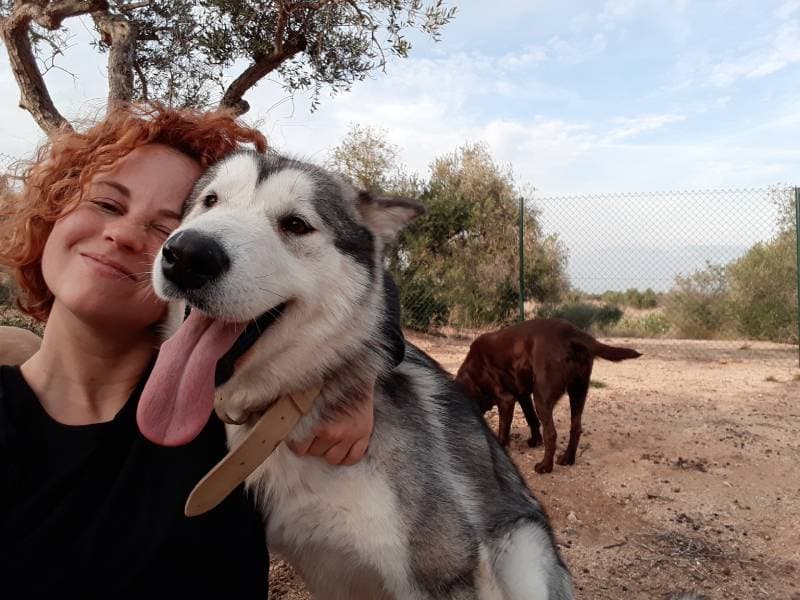 Perro feliz en la residencia canina Can Olivera, rodeada de olivos en Botarell